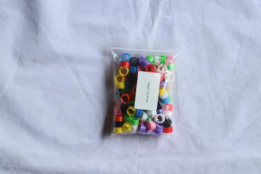 100 Pack Blank Bird Pigeon Leg Bands 8mm Leg Rings Quail Clips (Mixed Colors) — pack of 100