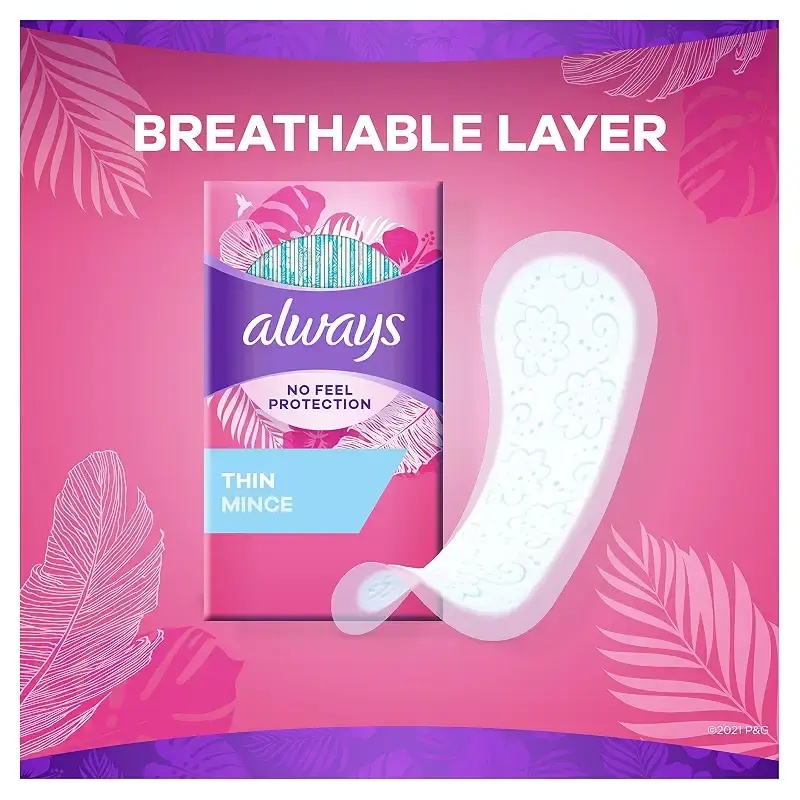 Always Thin Mince Wrapped 60 Count 60 Count (Pack of 1) — Feminine Care