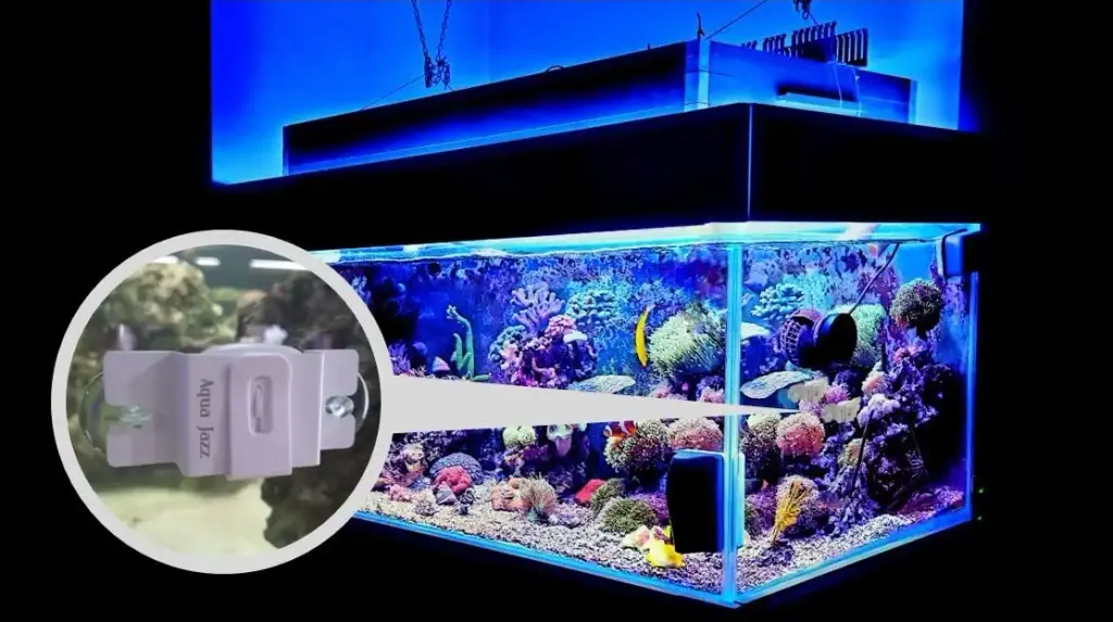 Aqua Jazz AquaJazzView10 1080P WiFi Camera Indoor, Pet Cam, Aquarium, Reef, Coral, Fish — Aqua Jazz