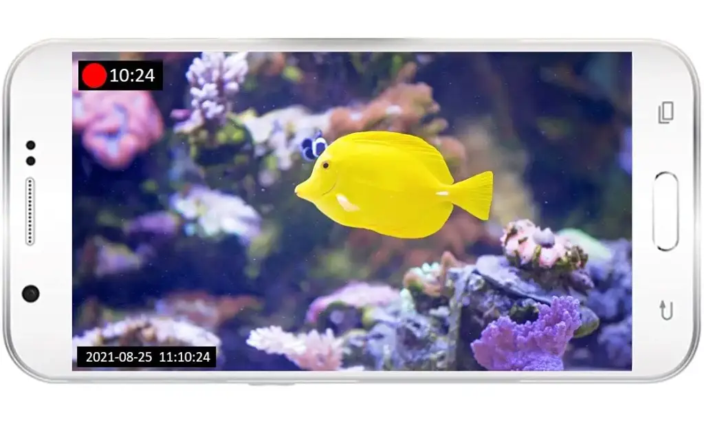 Aqua Jazz AquaJazzView10 1080P WiFi Camera Indoor, Pet Cam, Aquarium, Reef, Coral, Fish — Pet
