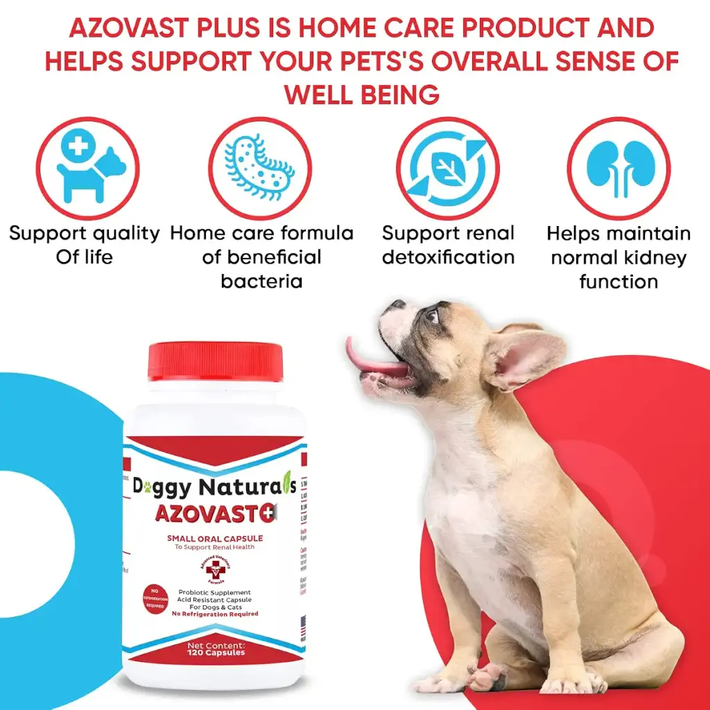 Azovast Plus Kidney Health Supplement for Dogs & Cats - NO Refrigeration Required - Help — Vitamins