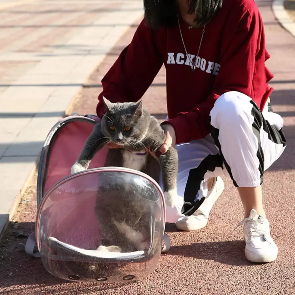 BURAN Pet Parrot Carrier Bird Travel Bag Space Capsule Transparent Backpack Breathable — Pet