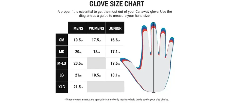 Callaway Dawn Patrol Glove Women's Standard Medium White Worn on Left Hand — Golf