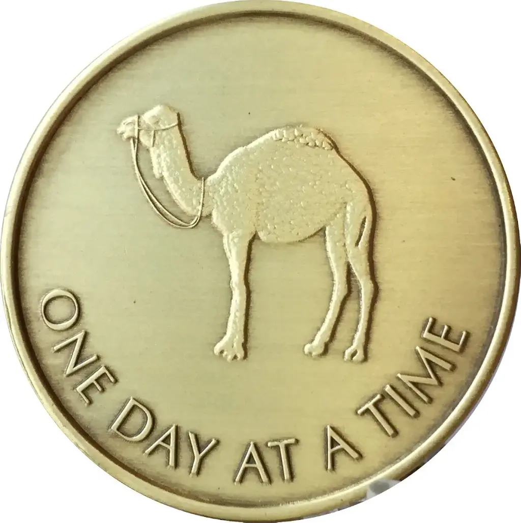 Camel One Day at A Time (24 Hr) - Bronze AA (Alcoholics Anonymous) -ACA-AL-ANON - Sober / Sobriety / Affirmation / Desire / Medallion / Coin / Chip by Generic