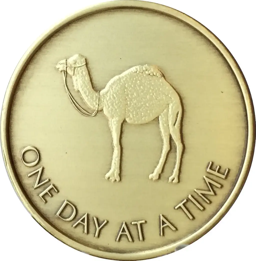 Camel One Day at A Time (24 Hr) - Bronze AA (Alcoholics Anonymous) -ACA-AL-ANON - Sober / — Sleep Wellness