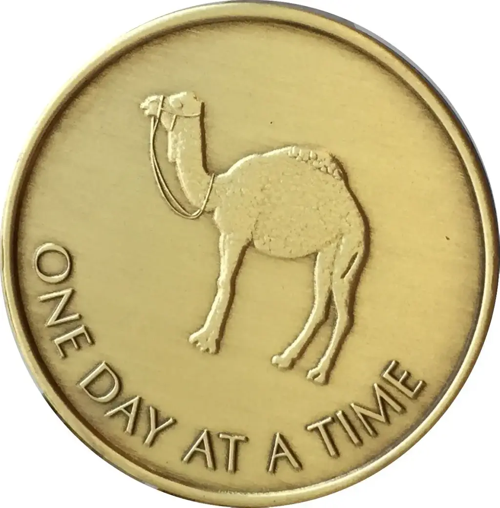 Camel One Day at A Time (24 Hr) - Bronze AA (Alcoholics Anonymous) -ACA-AL-ANON - Sober / — Sleep Wellness