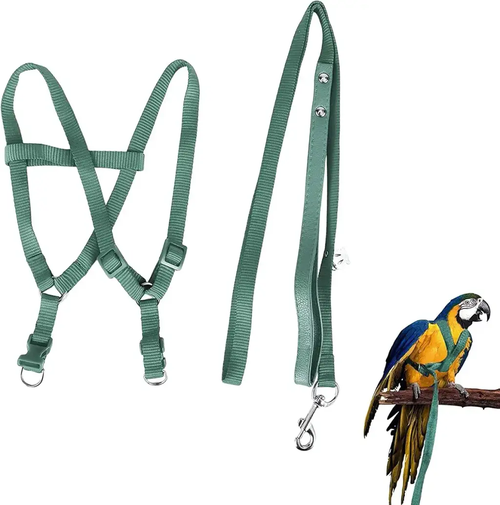 Camidy Adjustable Bird Harness and Leash Kit Macaw Cockatoos Bird Leash for Parrots Outside Training Walk for Large Bird Parrots Green L