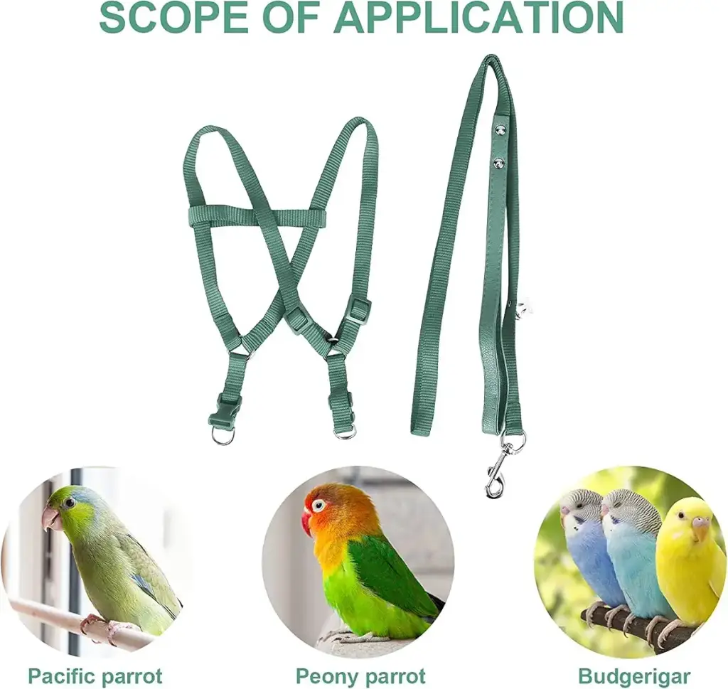 Camidy Adjustable Bird Harness and Leash Kit Macaw Cockatoos Bird Leash for Parrots — Camidy
