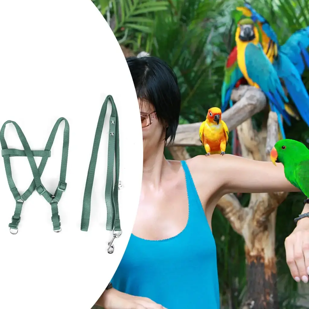 Camidy Adjustable Bird Harness and Leash Kit Macaw Cockatoos Bird Leash for Parrots — Camidy