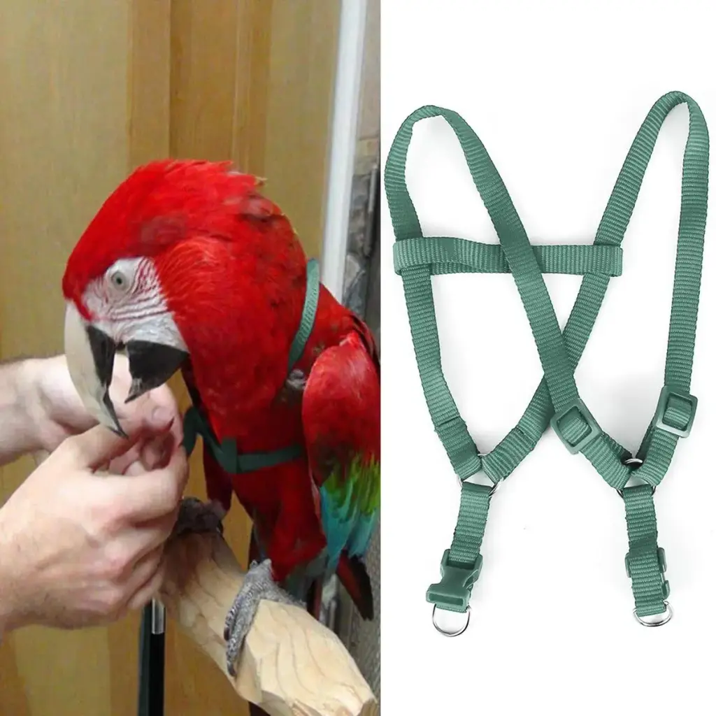 Camidy Adjustable Bird Harness and Leash Kit Macaw Cockatoos Bird Leash for Parrots — Pet