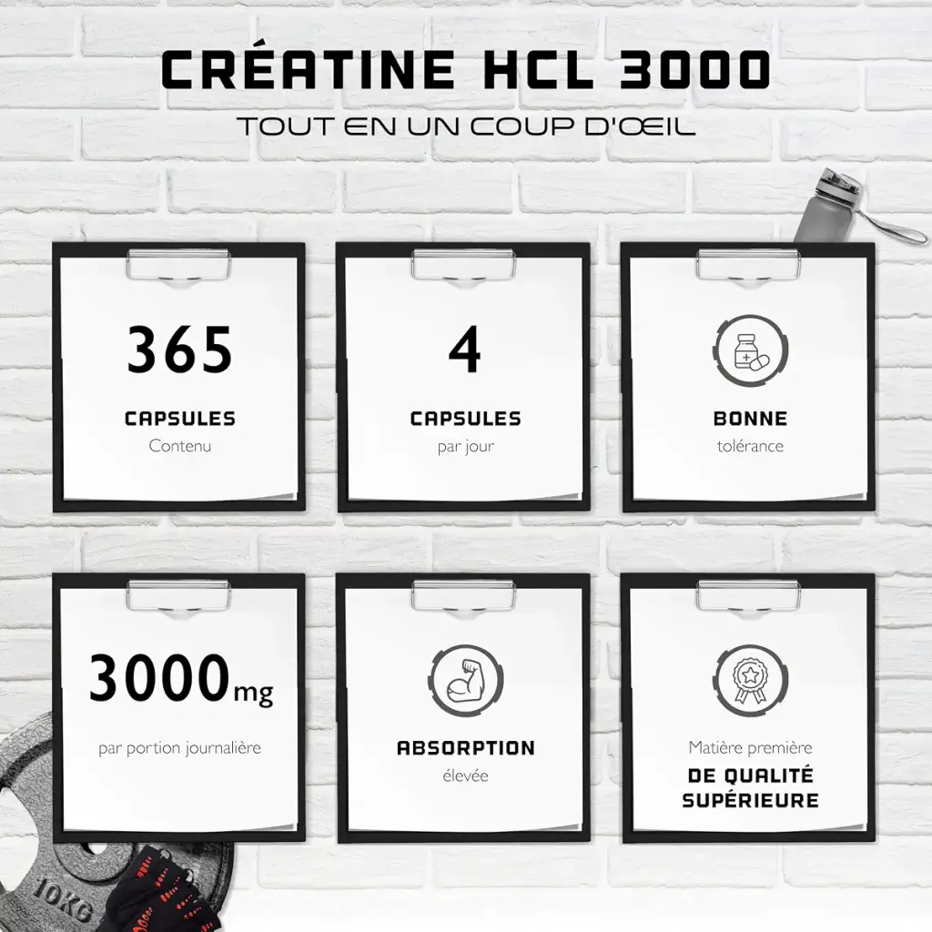 Creatine HCL - 365 Vegan Capsules - Highly Dosed to 3000 mg - Pure Creatine Hydrochloride — 3000 mg