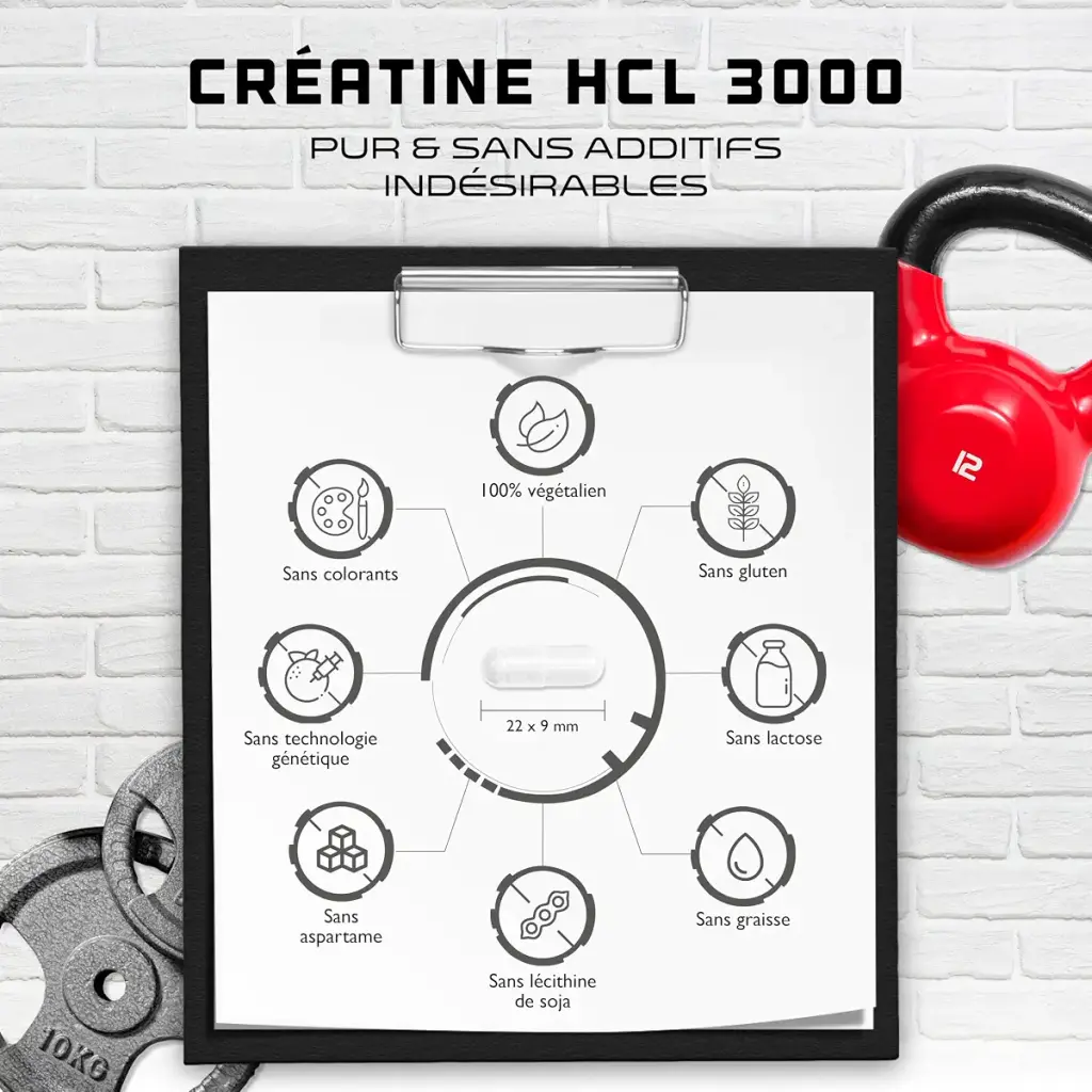Creatine HCL - 365 Vegan Capsules - Highly Dosed to 3000 mg - Pure Creatine Hydrochloride — Sports Nutrition
