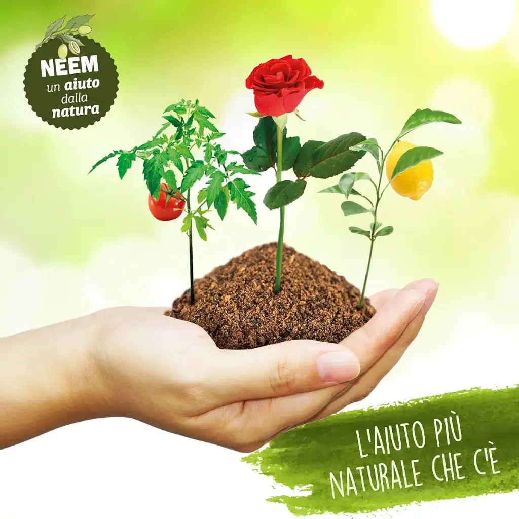 Expert Advice Neemolie 100 ml — 100 ml