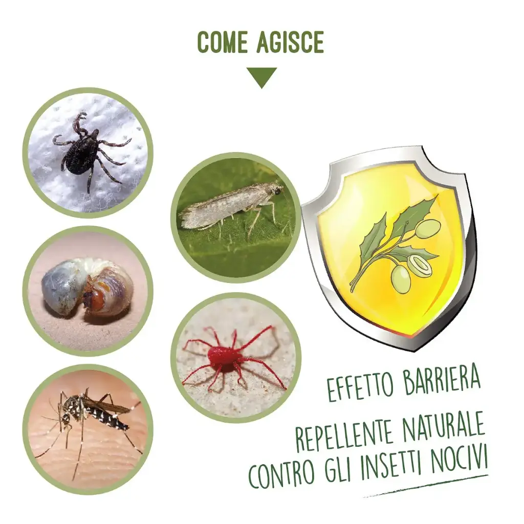 Expert Advice Neemolie 100 ml — 100 ml