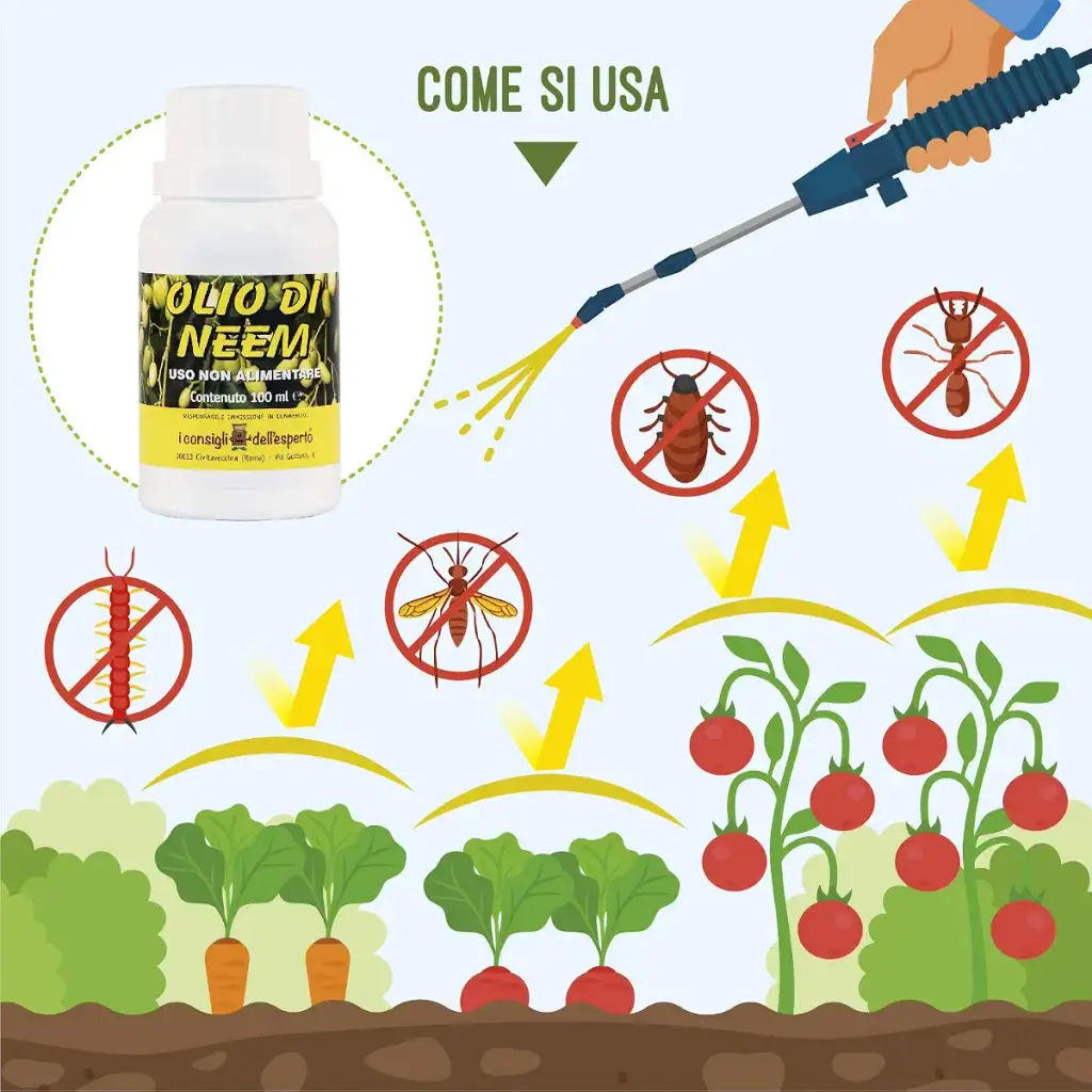 Expert Advice Neemolie 100 ml — Vitamins
