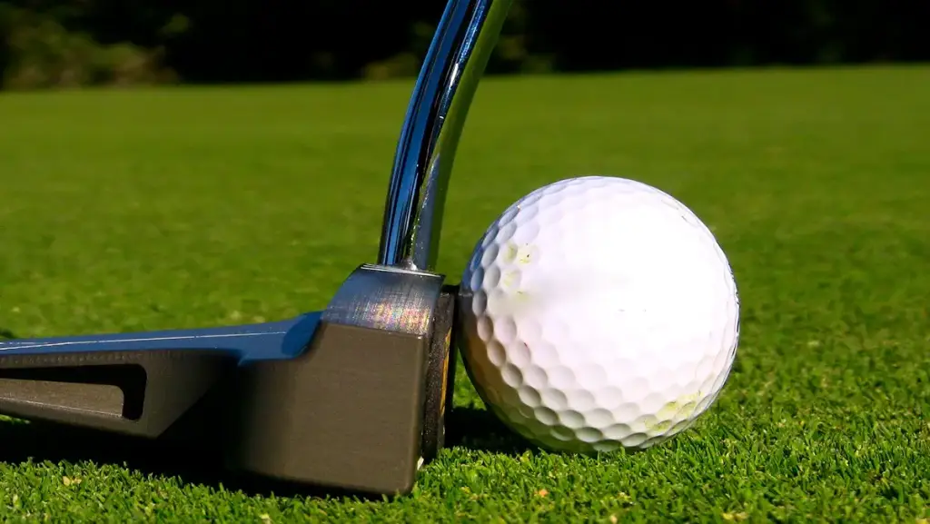 EyeLine Golf Sweet Spot 360 Degree - Training Aid to Set up Perfect Stroke for The Putter — EyeLine Golf