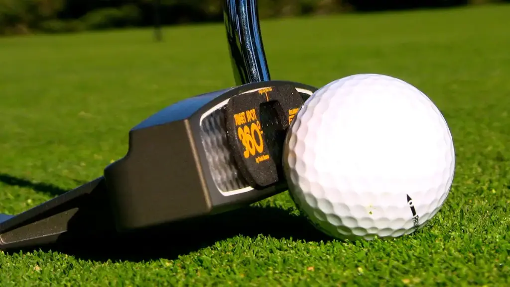 EyeLine Golf Sweet Spot 360 Degree - Training Aid to Set up Perfect Stroke for The Putter — Golf