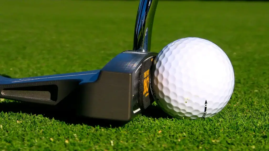 EyeLine Golf Sweet Spot 360 Degree - Training Aid to Set up Perfect Stroke for The Putter — EyeLine Golf