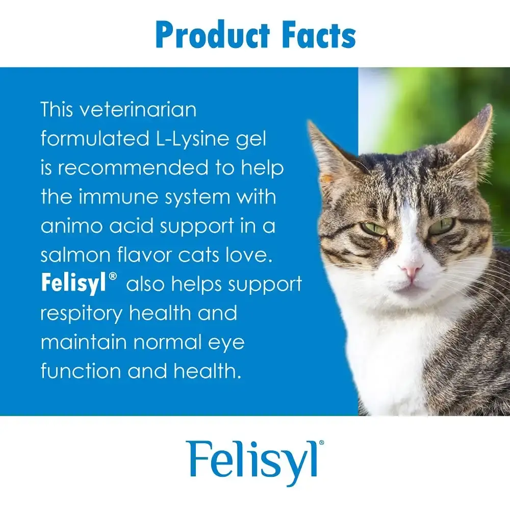 Felisyl Immune System Support for Cats - Amino Acid L-Lysine - Produce Antibodies — Vitamins