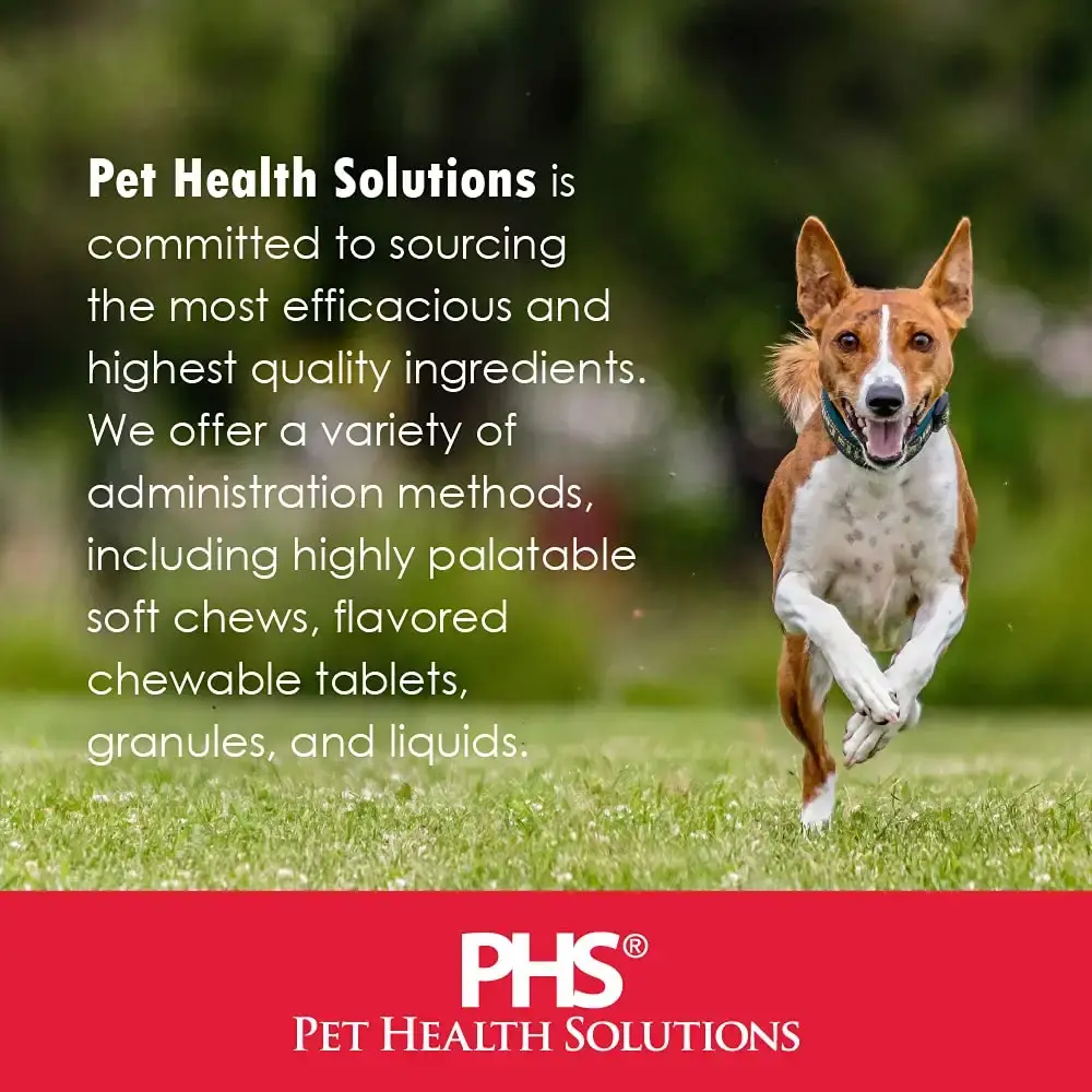 Felisyl Immune System Support for Cats - Amino Acid L-Lysine - Produce Antibodies — HealthyPets