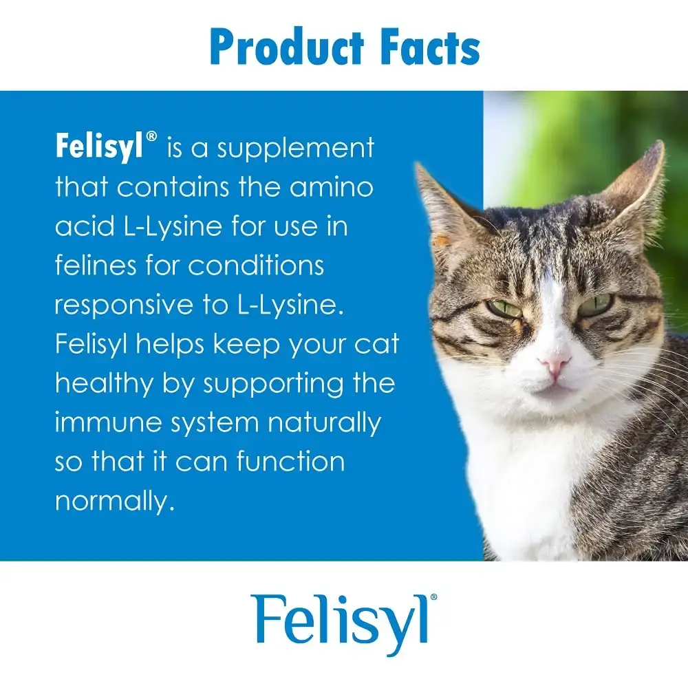 Felisyl Immune System Support(L-Lysine) Granules for Cats 3.5oz(100g) — Vitamins