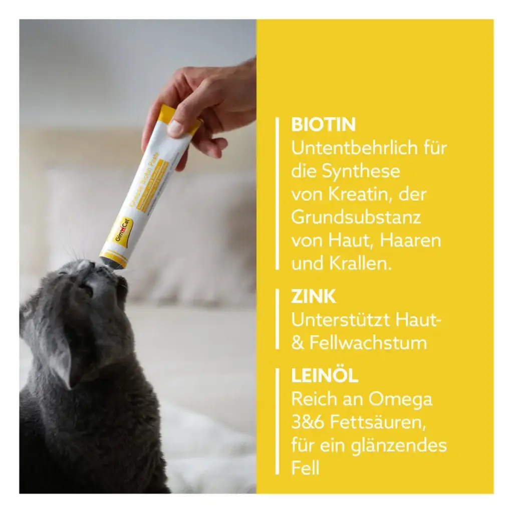 GimCat Cheese Biotin Paste - With aromatic cheese zinc and linseed oil for fur skin and — 50 g