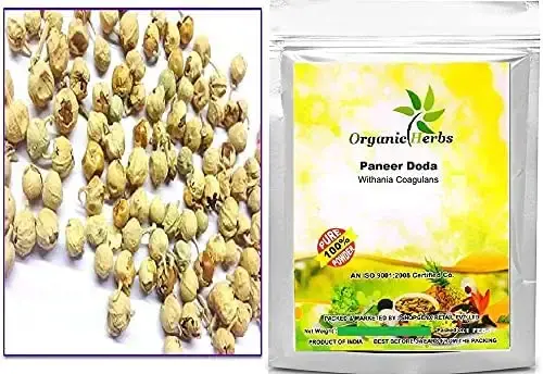 Green Velly Indian Organic Herbs Ayurveda Paneer Phool | Paneer Doda/DODI | Withania Coagulans Good for Health (1Kg)