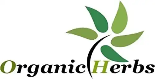 Green Velly Indian Organic Herbs Ayurveda Paneer Phool | Paneer Doda/DODI | Withania — Oral Care