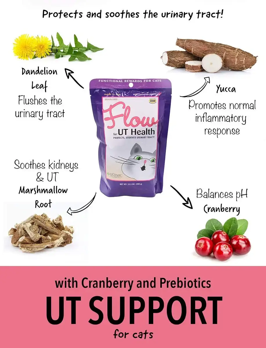 In Clover Flow Soft Chews for Daily Support for UT Health in Cats, Scientifically — In Clover