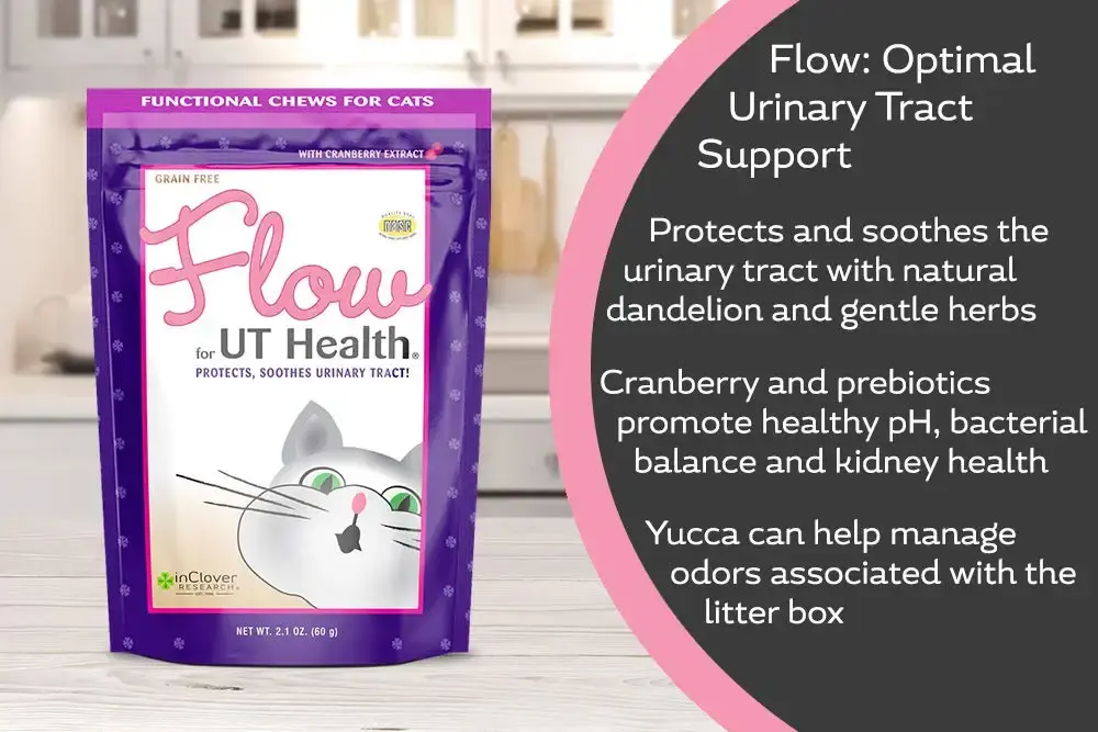 In Clover Flow Soft Chews for Daily Support for UT Health in Cats, Scientifically — Chewable