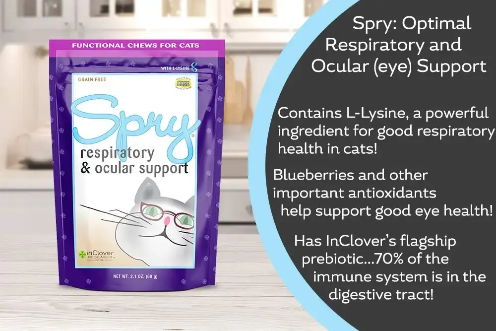 In Clover Spry Daily Respiratory and Ocular Support Soft Chews for Cats, with L-Lysine — Chewable