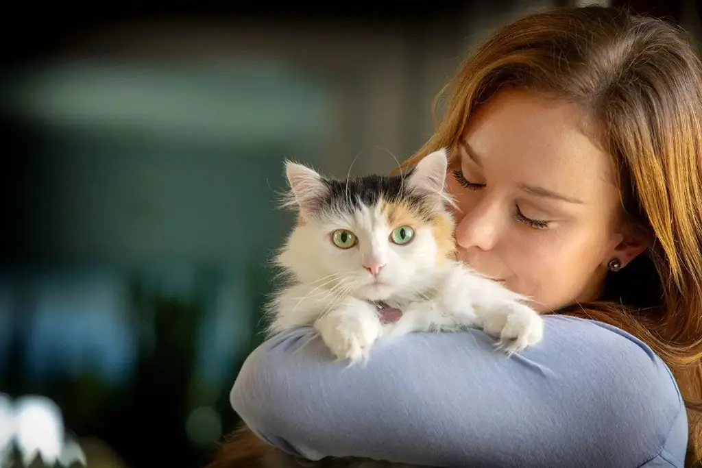 In Clover Spry Daily Respiratory and Ocular Support Soft Chews for Cats, with L-Lysine — Vitamins