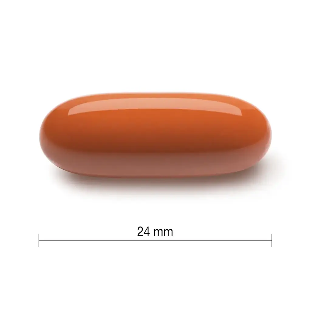 Jamieson PRENATAL Complete Multivitamin with DHA Supplement 60 Softgels — Softgels