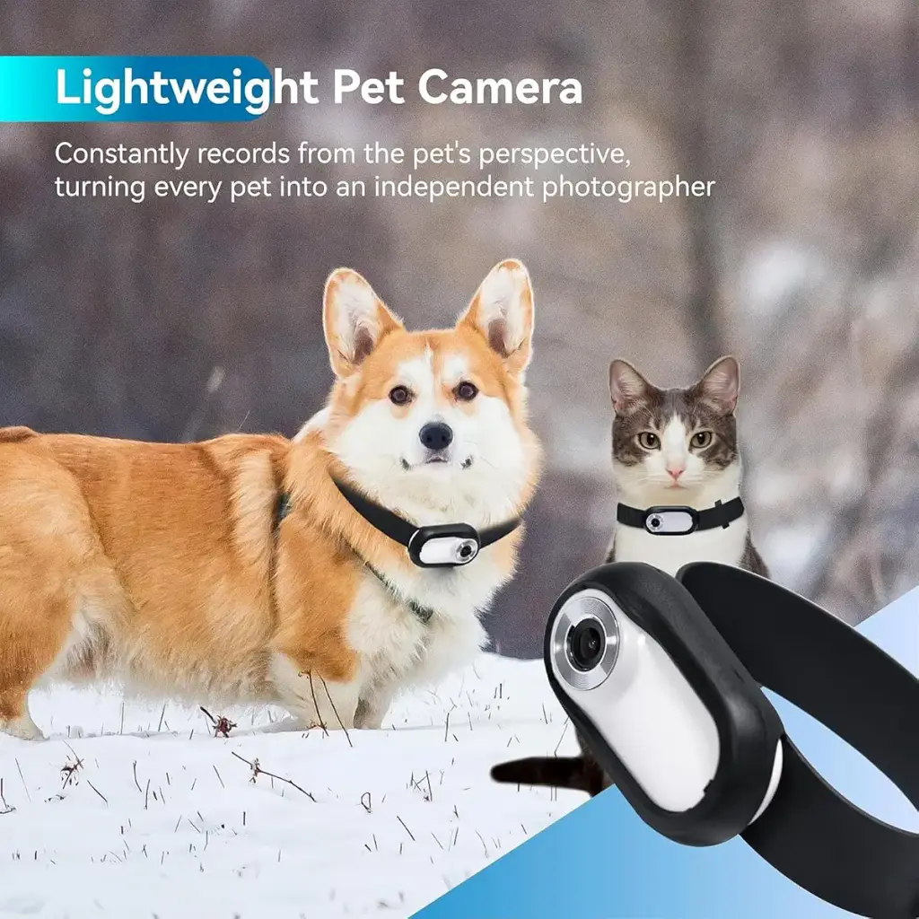 JECTSE Katzenhalsband camera no WLAN required 120-degree wide-angle pet-in-house cameras — Jectse