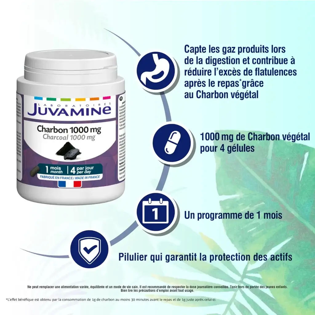 JUVAMINE - Vegetable Charcoal 1000 Mg - Digestion - Bloating - Flatulence - Gas - Helps — 1000 mg