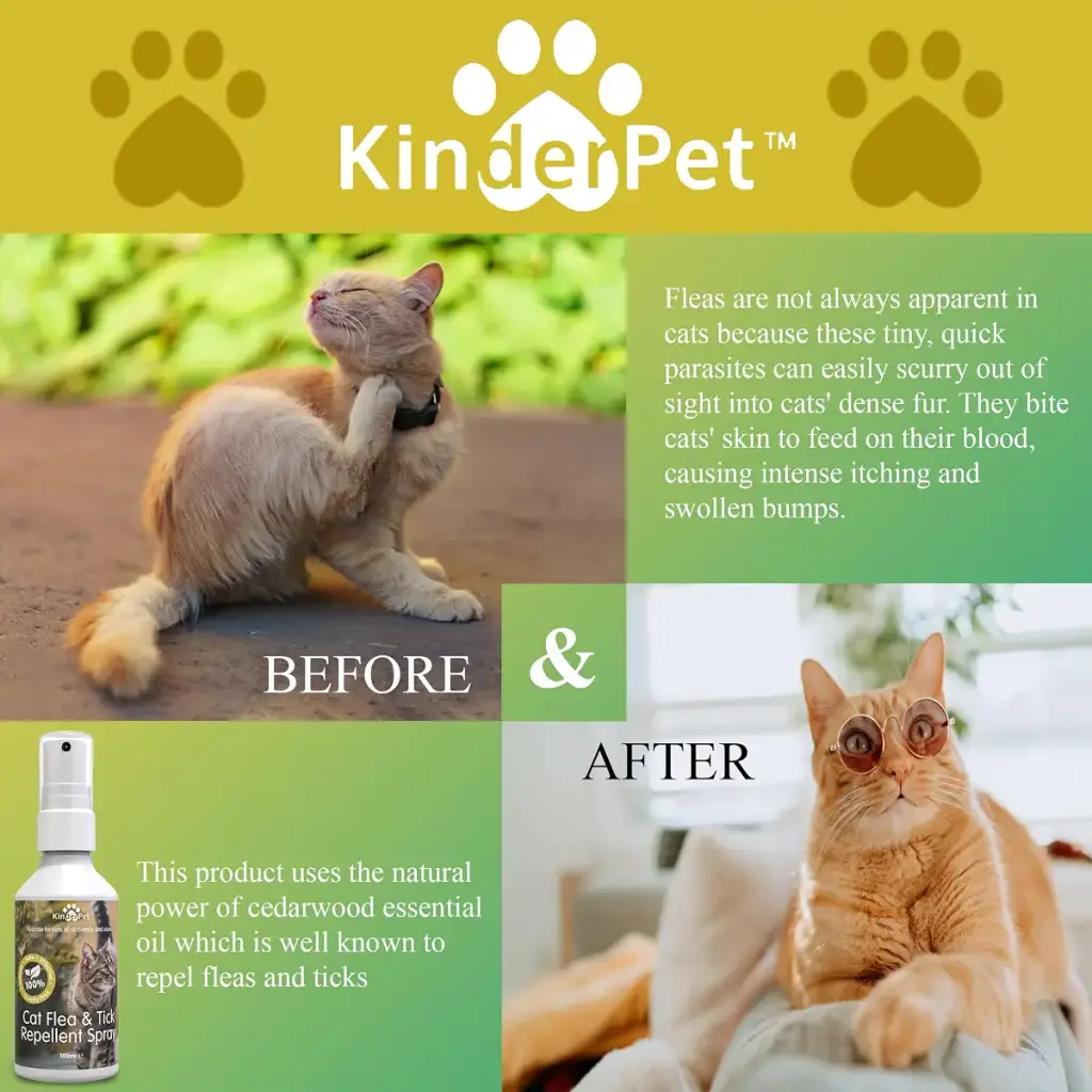 KinderPet Eco Cat Flea Treatment Tick Lice Mite Control Spray Kill Fleas And Eggs For The — 100 ml