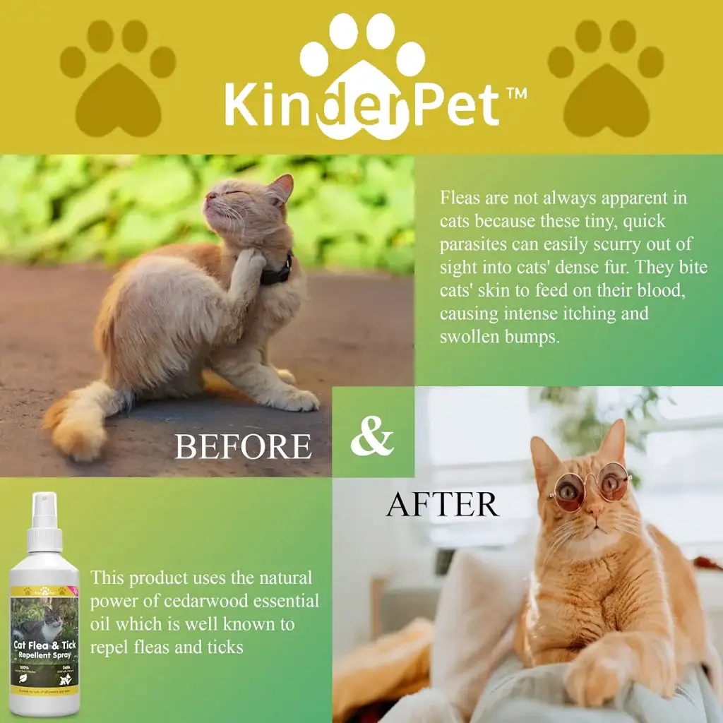 KinderPet Eco Friendly Cat Flea Treatment Big Value 250ml Tick Lice Mite Control Spray — 250 ml