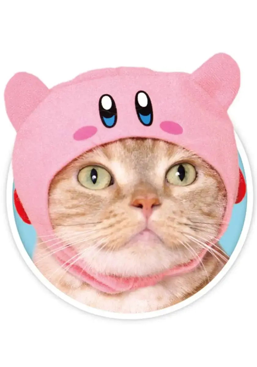 Kitan Club Cat Cap - Pet Hat Blind Box Includes 1 of 5 Cute Styles - Soft, Comfortable — Pet