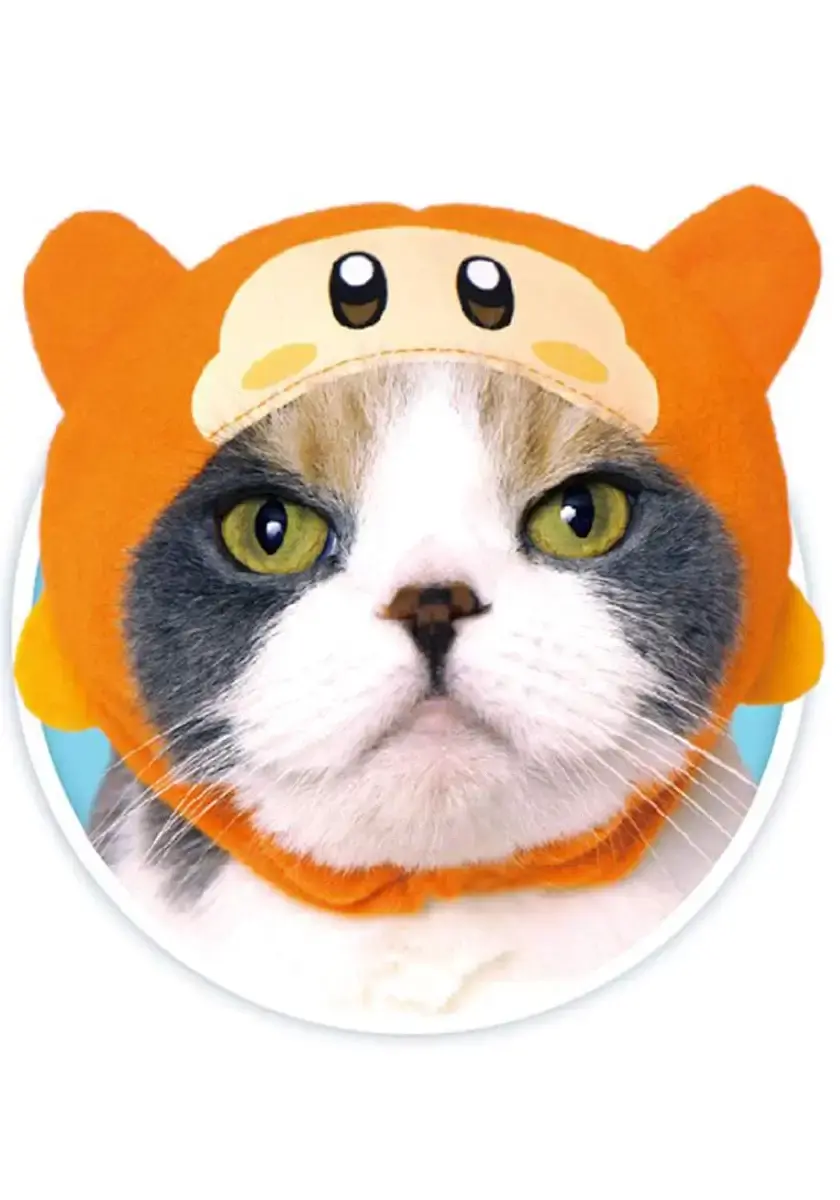 Kitan Club Cat Cap - Pet Hat Blind Box Includes 1 of 5 Cute Styles - Soft, Comfortable — Kitan Club