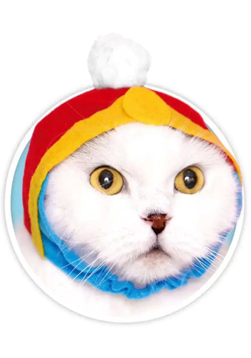 Kitan Club Cat Cap - Pet Hat Blind Box Includes 1 of 5 Cute Styles - Soft, Comfortable — Kitan Club