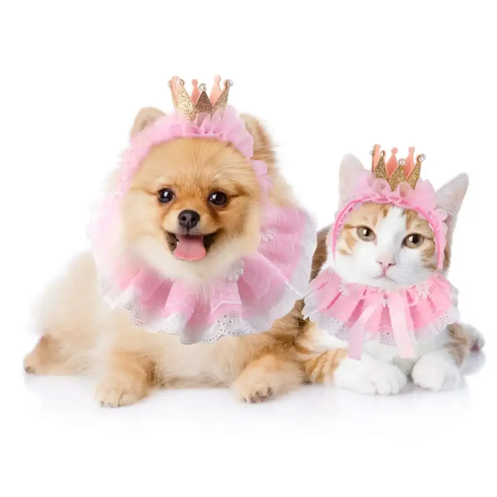 Legendog Cat Bandana for Cats, Princess Cat Costumes for Cats, Cute Lace Dog Bandanas and — Legendog