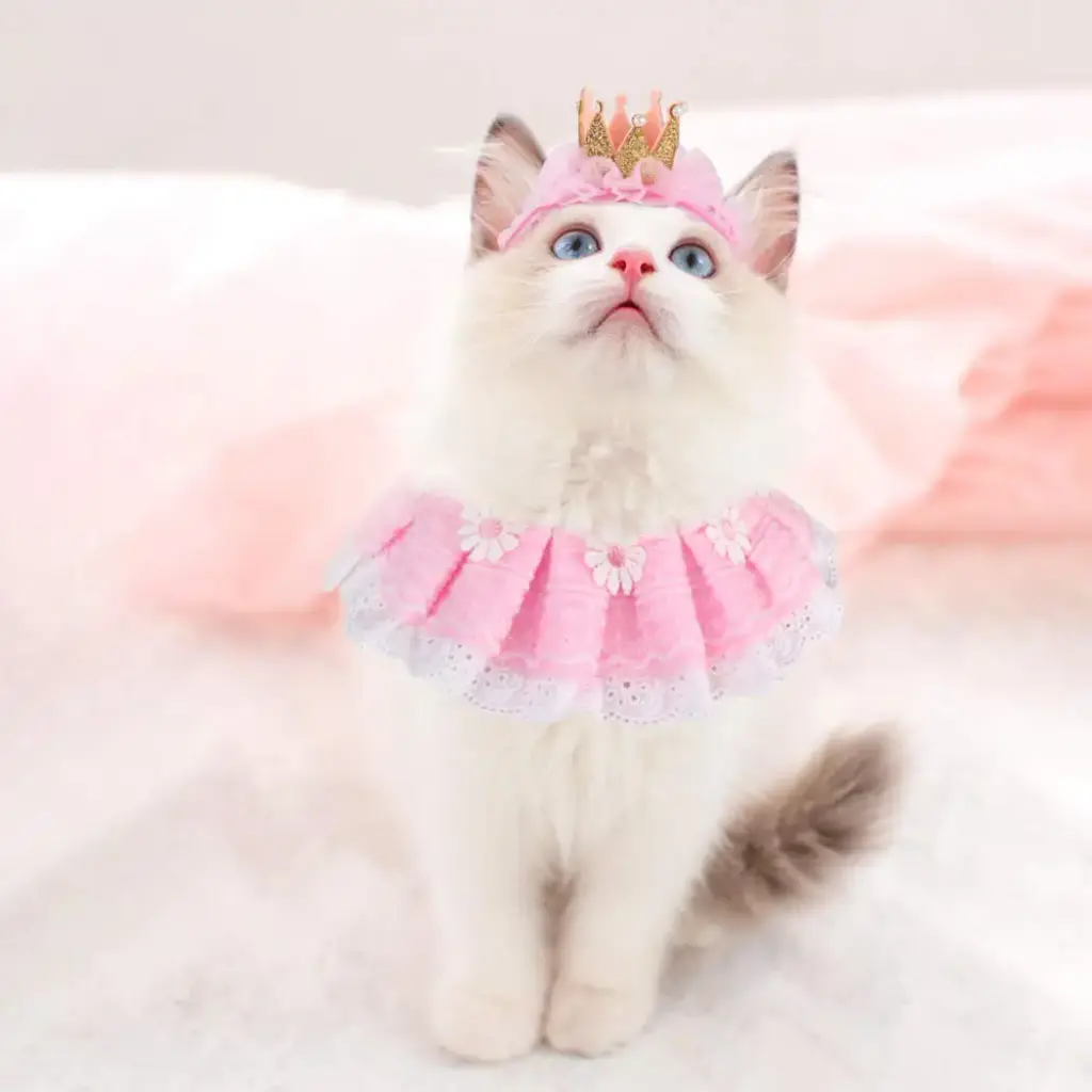 Legendog Cat Bandana for Cats, Princess Cat Costumes for Cats, Cute Lace Dog Bandanas and — Pet