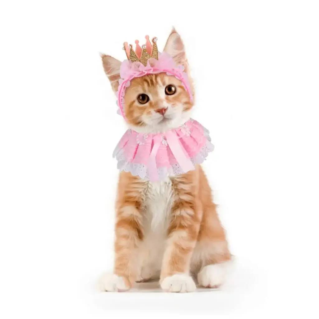 Legendog Cat Bandana for Cats, Princess Cat Costumes for Cats, Cute Lace Dog Bandanas and — Legendog