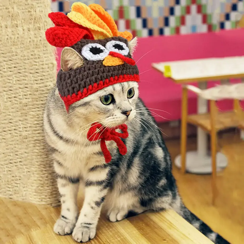 Legendog Cat Costume Turkey Hat Halloween Thanksgiving Party Handmade Crochet Pet Turkey — Legendog