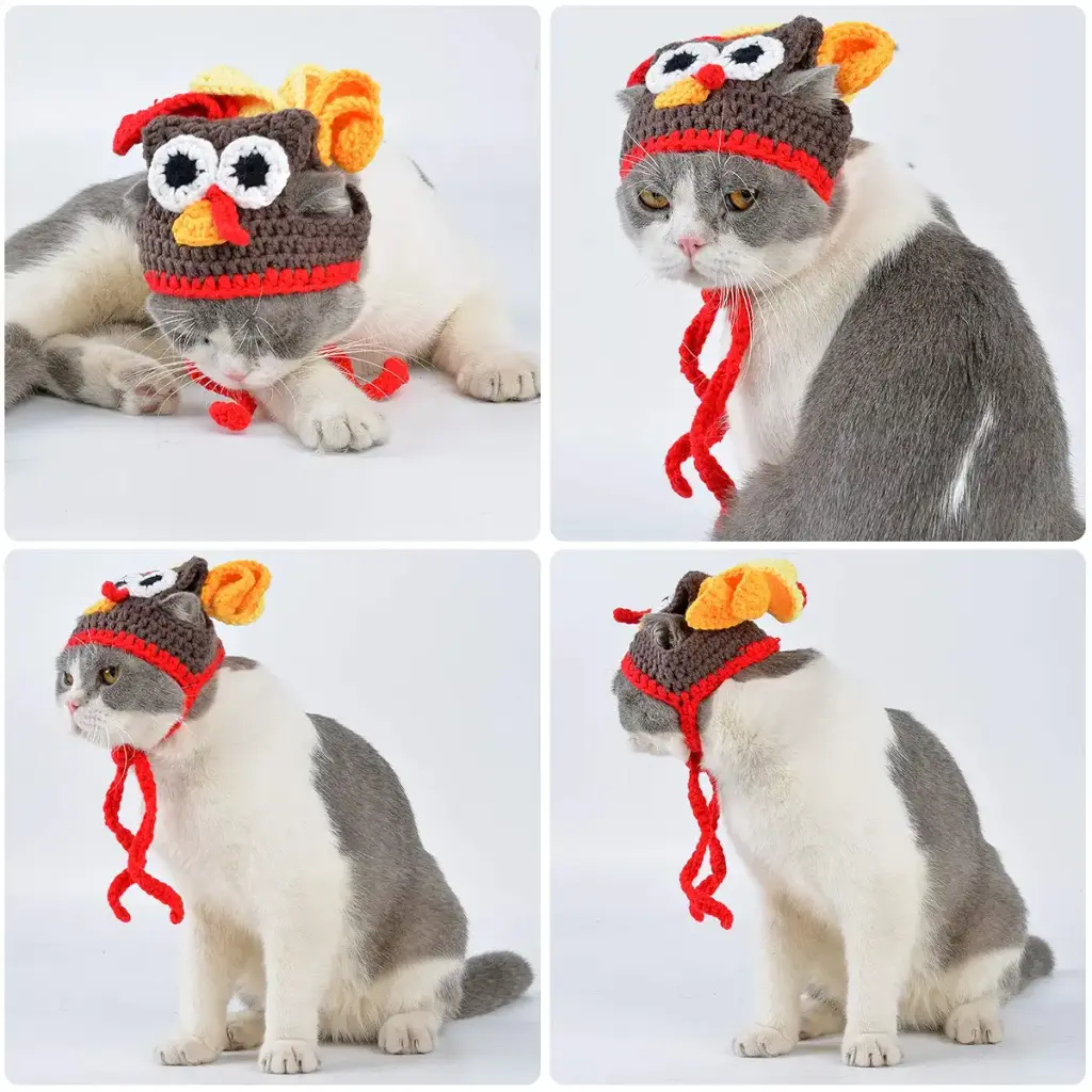 Legendog Cat Costume Turkey Hat Halloween Thanksgiving Party Handmade Crochet Pet Turkey — Pet