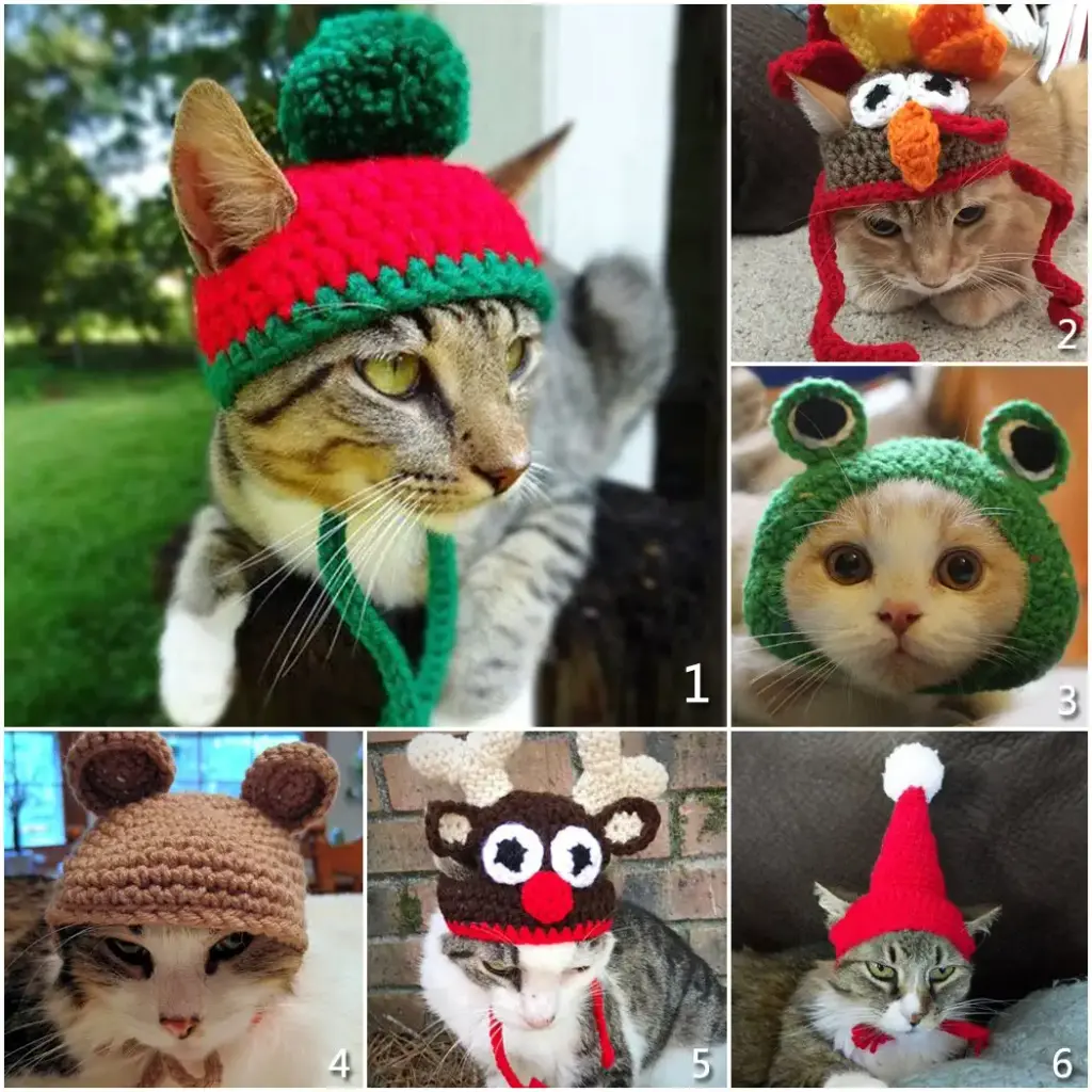 Legendog Cat Costume Turkey Hat Halloween Thanksgiving Party Handmade Crochet Pet Turkey — Legendog