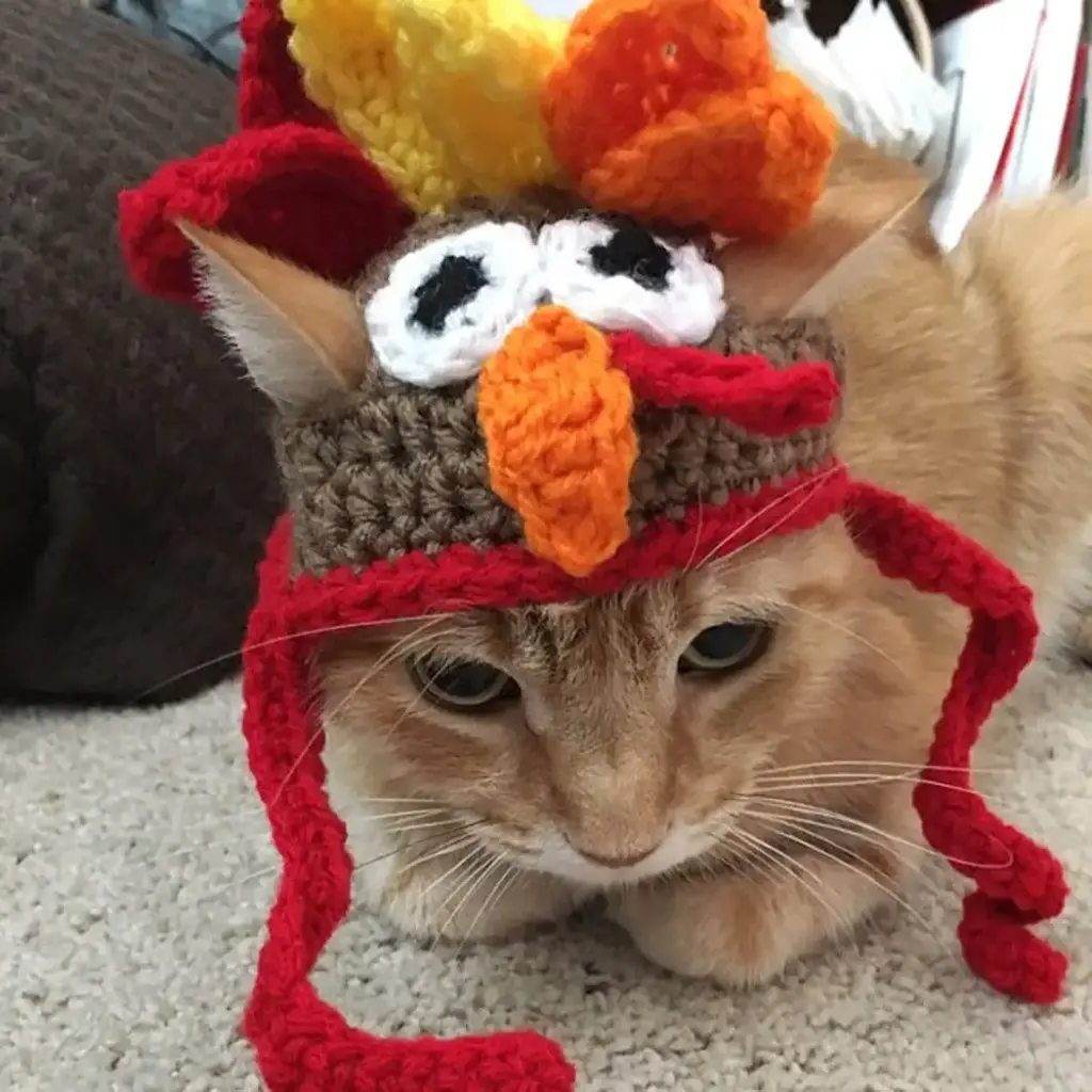 Legendog Cat Costume Turkey Hat Halloween Thanksgiving Party Handmade Crochet Pet Turkey — Pet