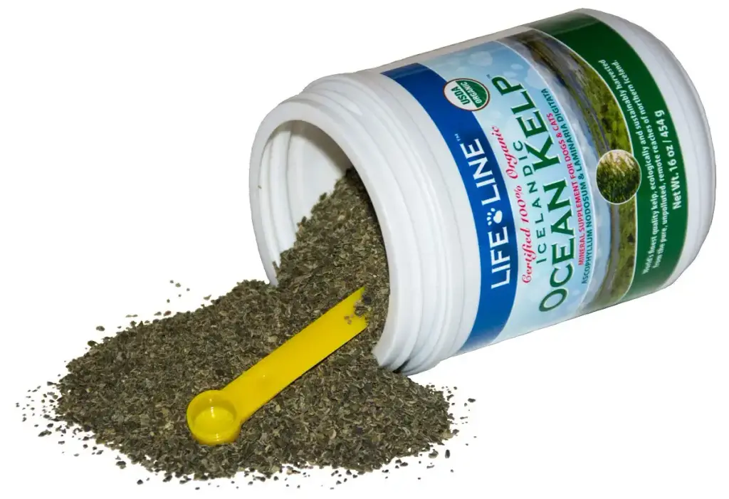 Life Line Pet Nutrition Organic Ocean Kelp Supplement for Skin & Coat, Digestion in Dogs — Life Line Pet Nutrition
