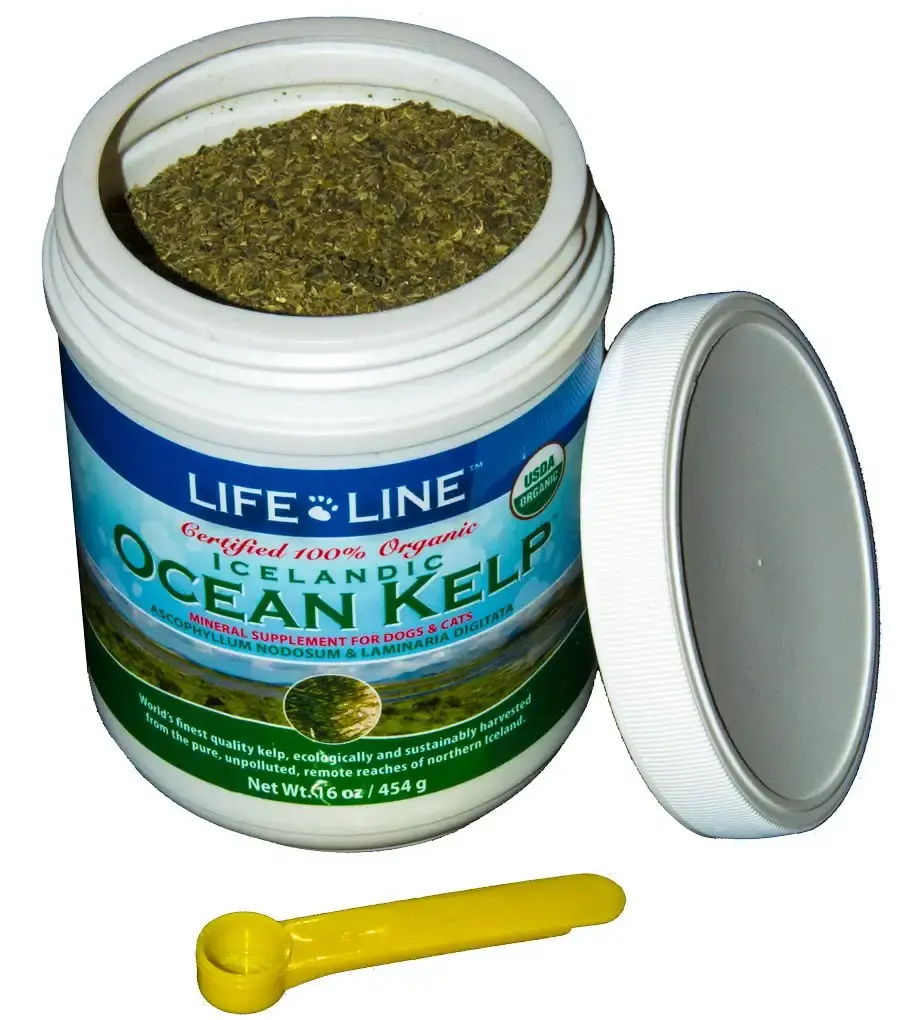 Life Line Pet Nutrition Organic Ocean Kelp Supplement for Skin & Coat, Digestion in Dogs — Vitamins