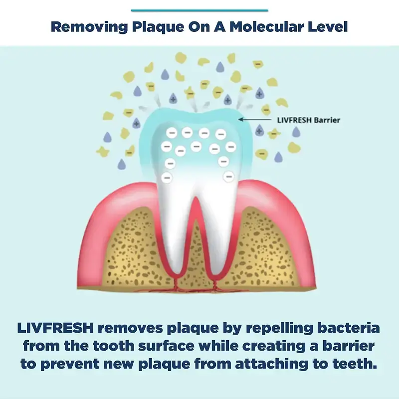 LIVFRESH Dental Gel by Livionex (Formerly Livionex Dental Gel) - Clinically Proven to — Topical